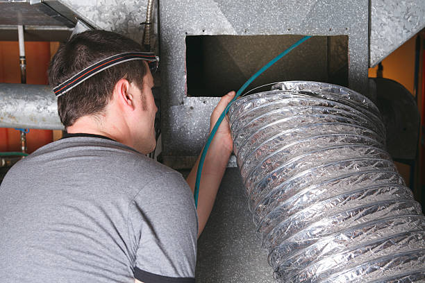 Best Air Duct Sanitizing Services  in Eaton Rapids, MI